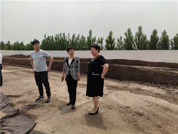 农业农村部微生物肥料和食用菌菌种质量监视磨练测试中心李俊主任、姜昕主任来豪运国际公司调研、指导事情